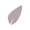 natürlich-blatt-min natürlich-blatt-min